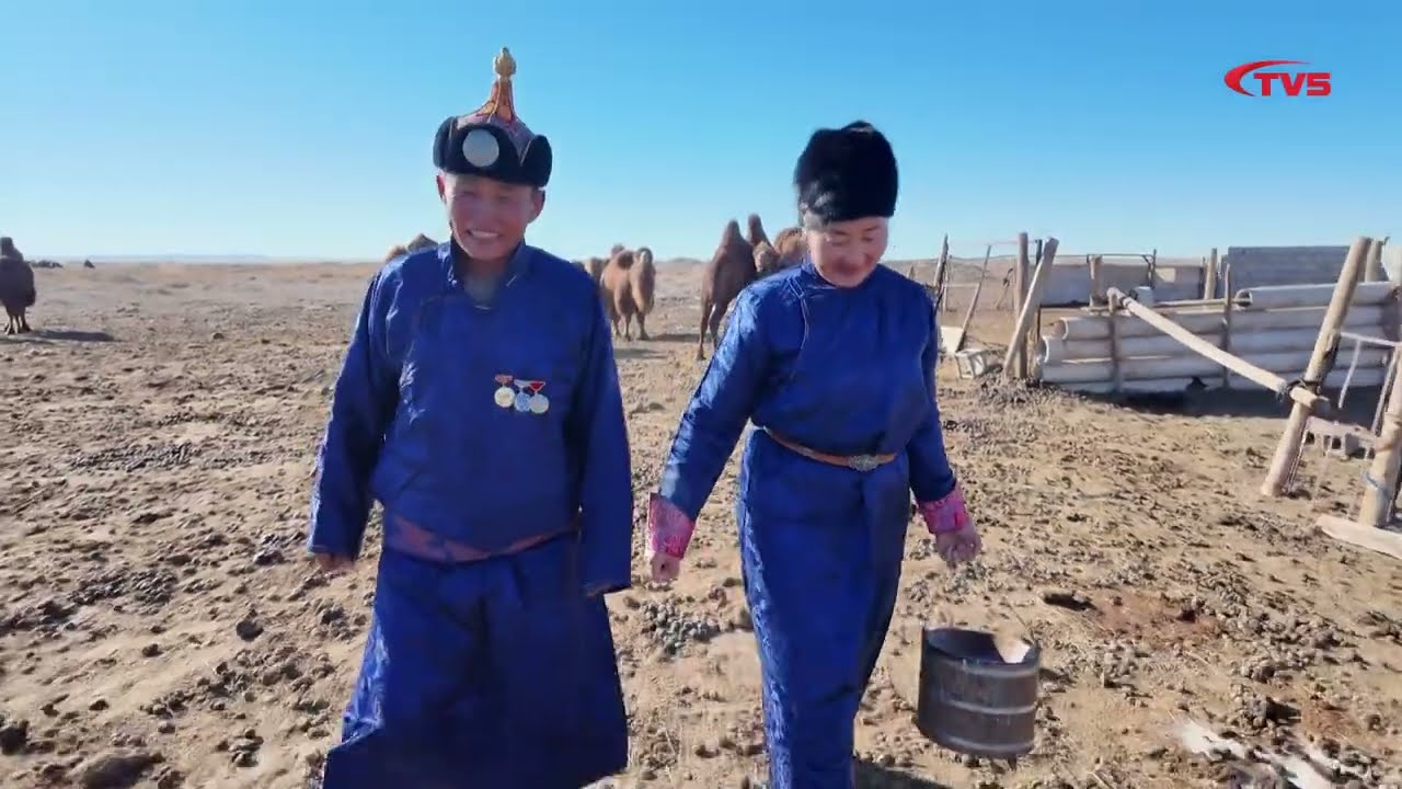 10, 10 ТЭМЭЭТЭЙ ГЭР БҮЛЖ БОЛЖ, 30 ЖИЛ УЙГАГҮЙ ХӨДӨЛМӨРЛӨЖ ТЭМЭЭН СҮРГИЙНХЭЭ ТООГ МЯНГАД ХҮРГЭСЭН
