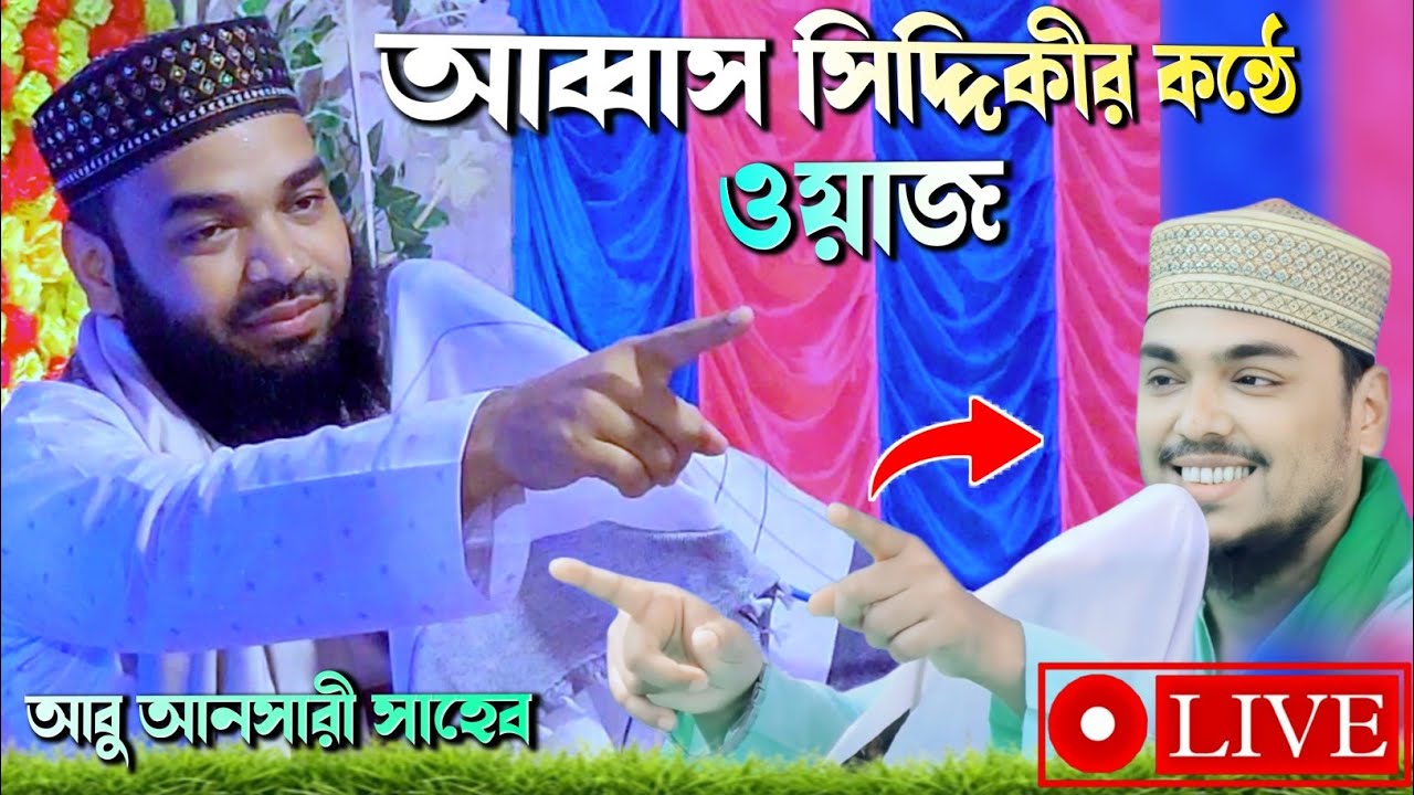 🛑 আব্বাস সিদ্দিকীর কন্ঠে আবু আনসারী ওয়াজ┇abbas siddiqui nokol waz┇আব্বাস সিদ্দিকী