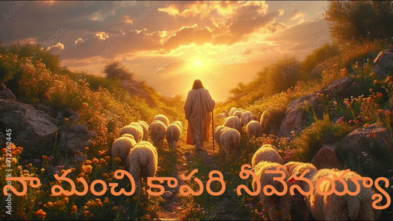 నా మంచి కాపరి నీవేనయ్యా
