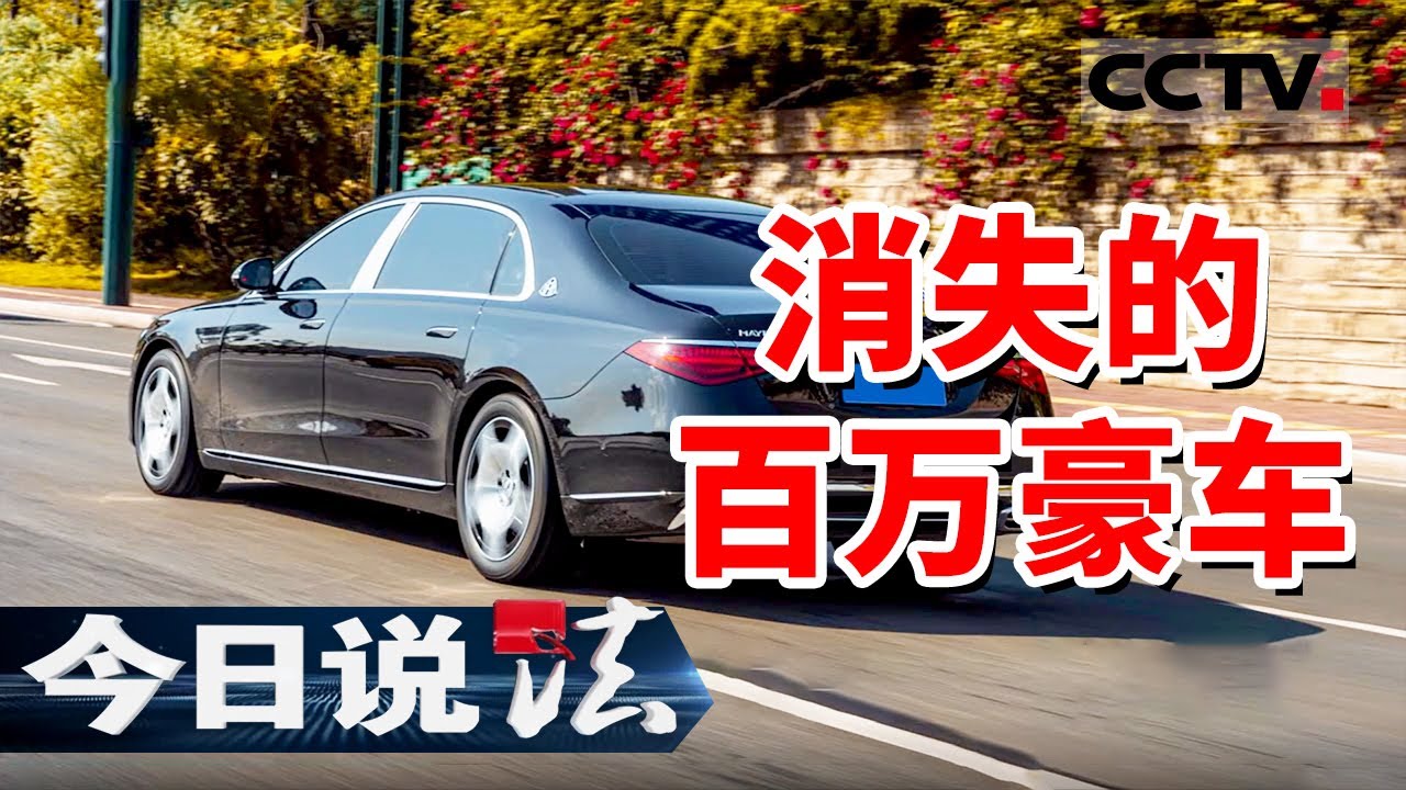 《今日说法》以租车的名义骗走百万豪车！“枪手”到案 却说不清上家是谁！20241211 | CCTV今日说法官方频道