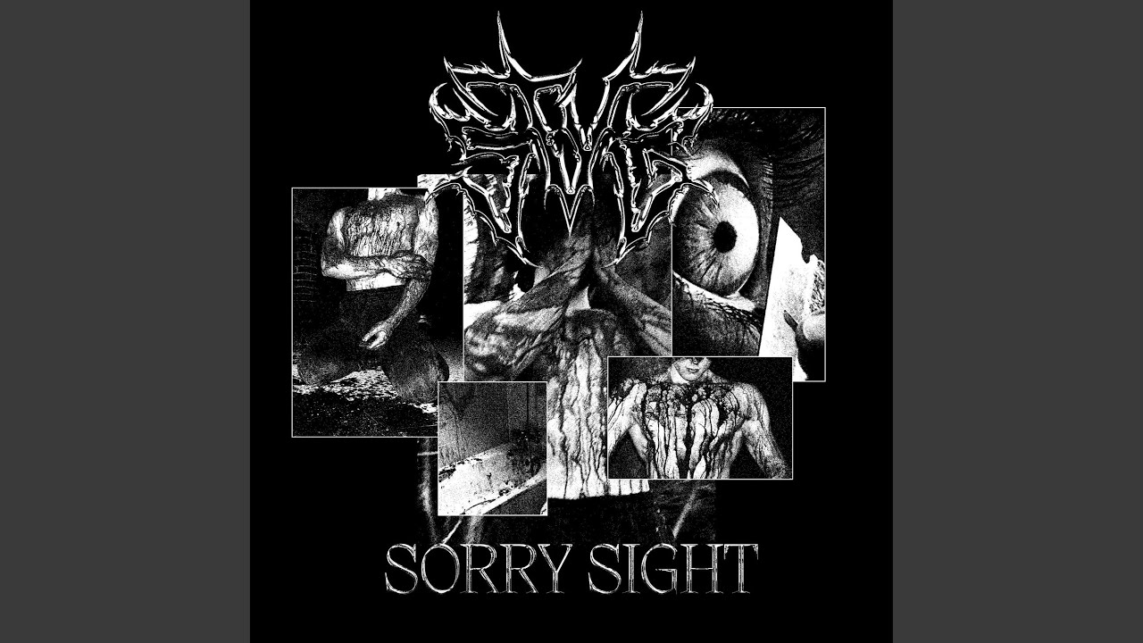 SORRY SIGHT