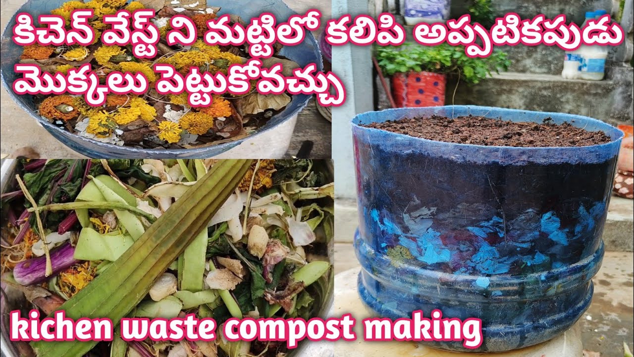 కిచెన్ వేస్ట్ ని మట్టిలో కలిపి అప్పటికపుడు మొక్కలు పెట్టుకోవచ్చు|Kichen waste compost easily at home