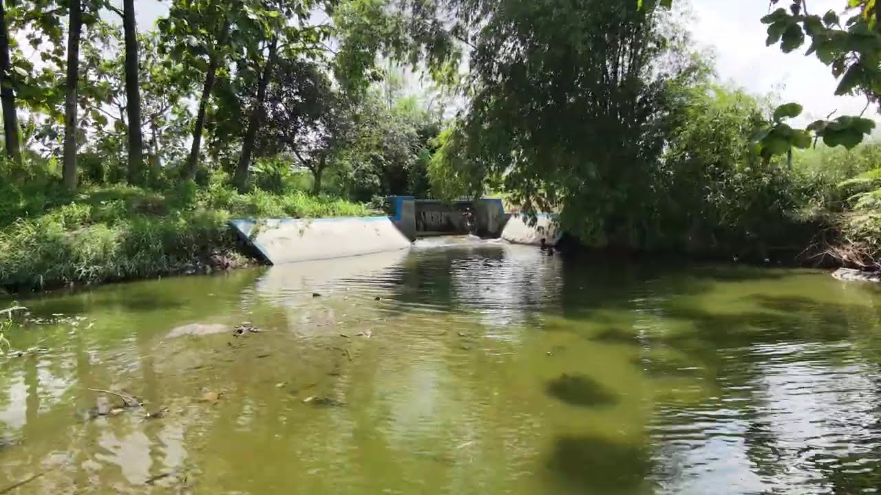 Happy kids swimming on a river