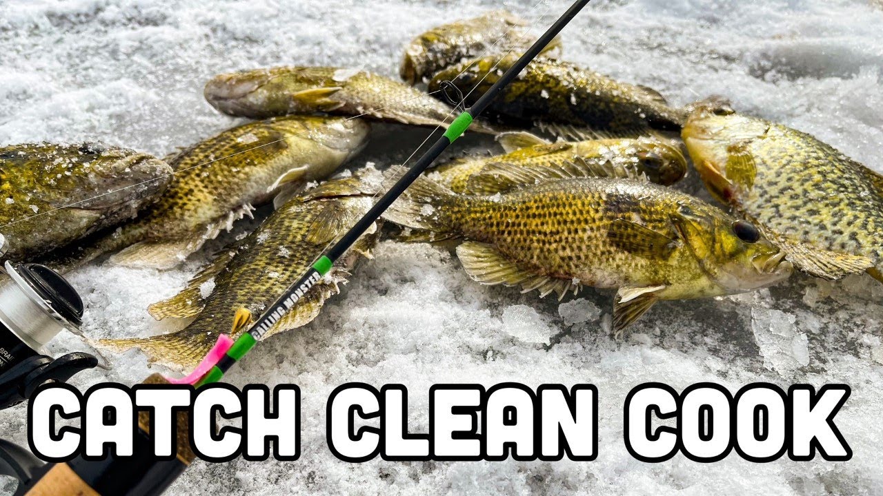 CRAZY Rock Bass Feeding Frenzy {Catch Clean Cook}