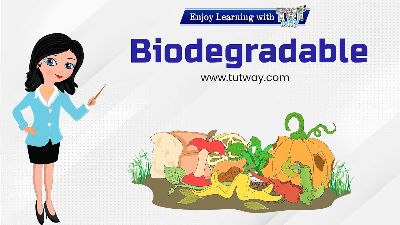 Biodegradable Waste | Biodegradable Waste & Non-Biodegradable Waste | Waste Management | Science