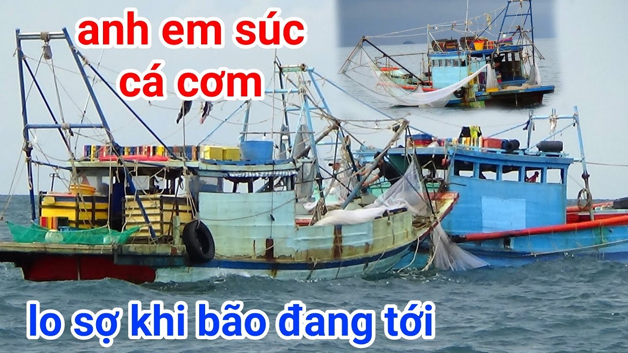 bão kéo đến làm cho anh em súc cá cơm hoang mang lo sợ - tổng miền tây