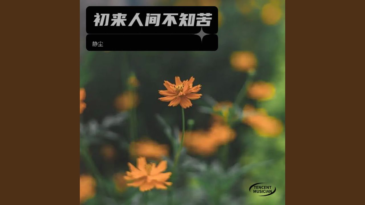 一蓑烟雨任浮沉