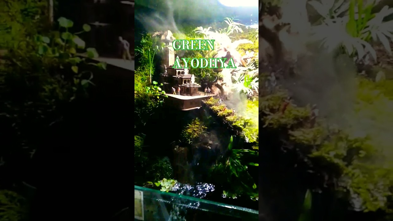 Make a green ayodhya aqua terrarium 