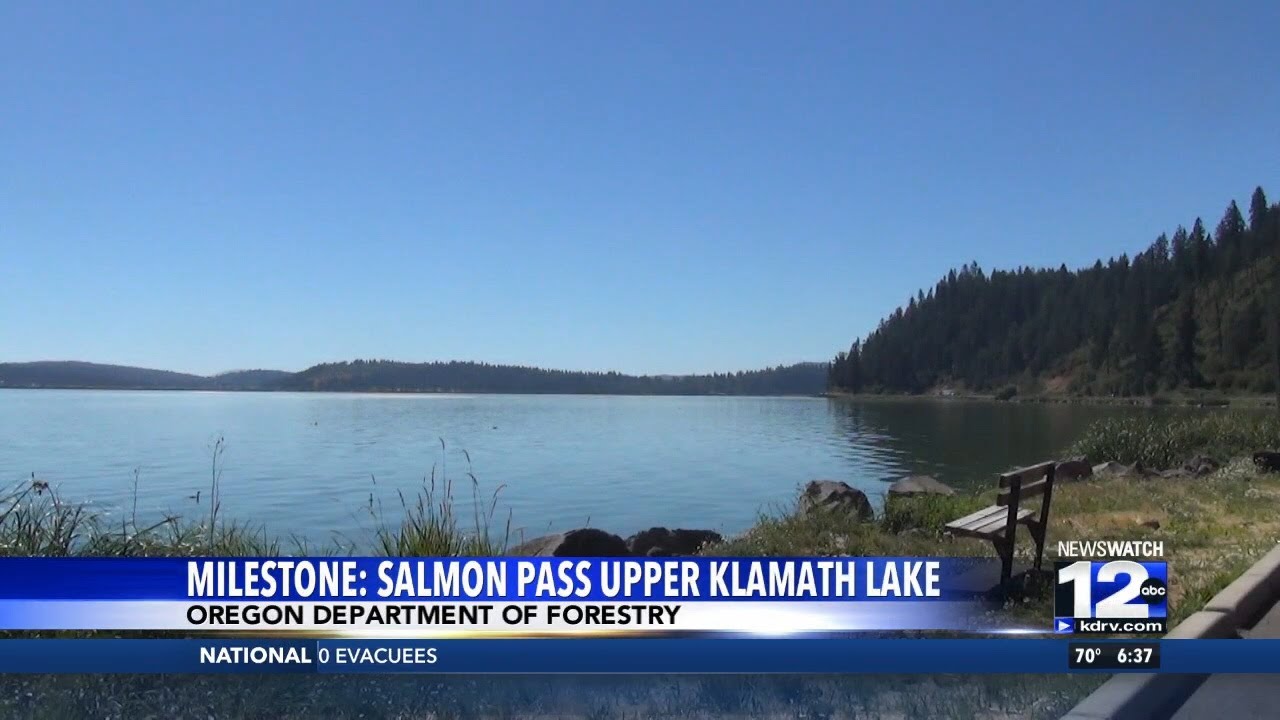 Salmon reach new milestone one year after dam removals