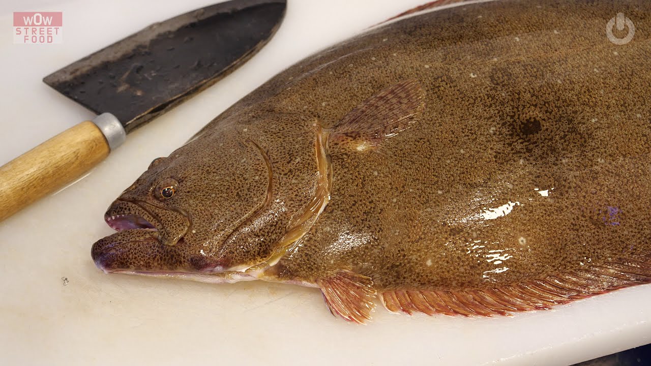 6Kg 자연산 광어회는 꼭 드셔보셔야 합니다/ 광어 회뜨기 /이케시메/How to Cut a Flatfish / Flounder sashimi / Korean street food