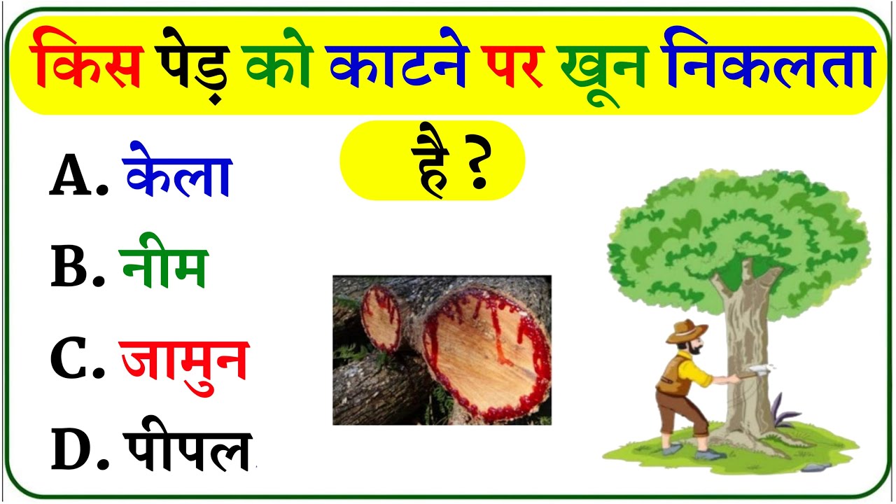 Gk Question || Gk In Hindi || Gk Question And Answer || Gk Quiz || Kids Gk Questions || PART 200