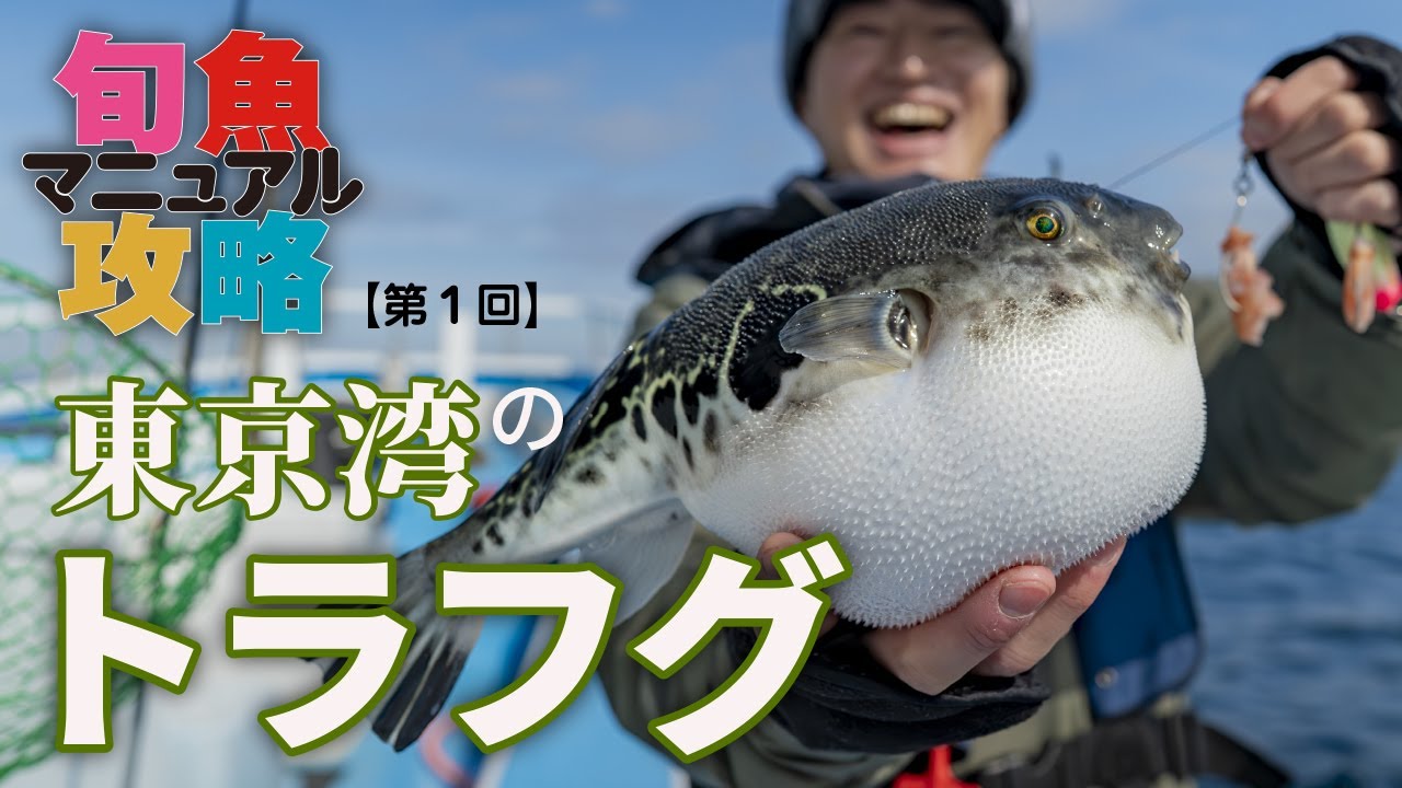 【トラフグ釣り】開幕直後の釣り方を実釣解説｜東京湾攻略｜鈴木孝×佐々木健仁【旬魚攻略マニュアル①】
