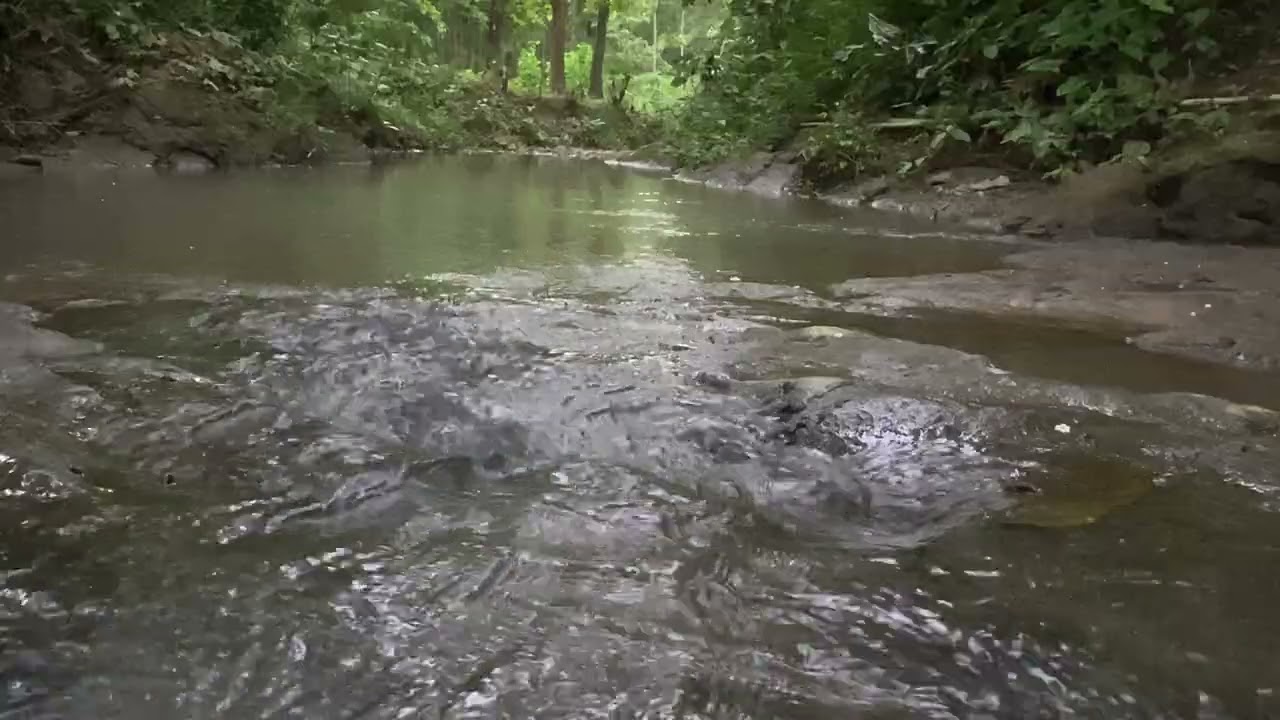 Softly Flowing Water - 1Hour of Tranquil Water Sounds - No Music or Birdsong