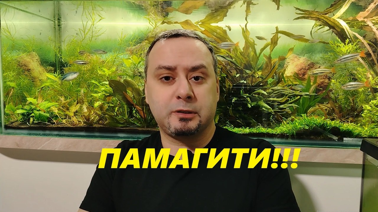 Нужна помощь!