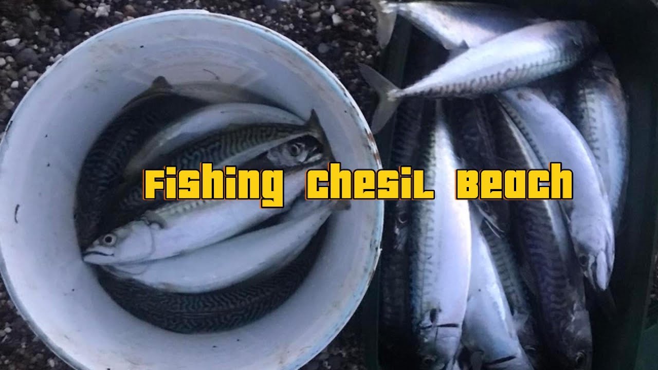 Go fishing at Chesil Beach.