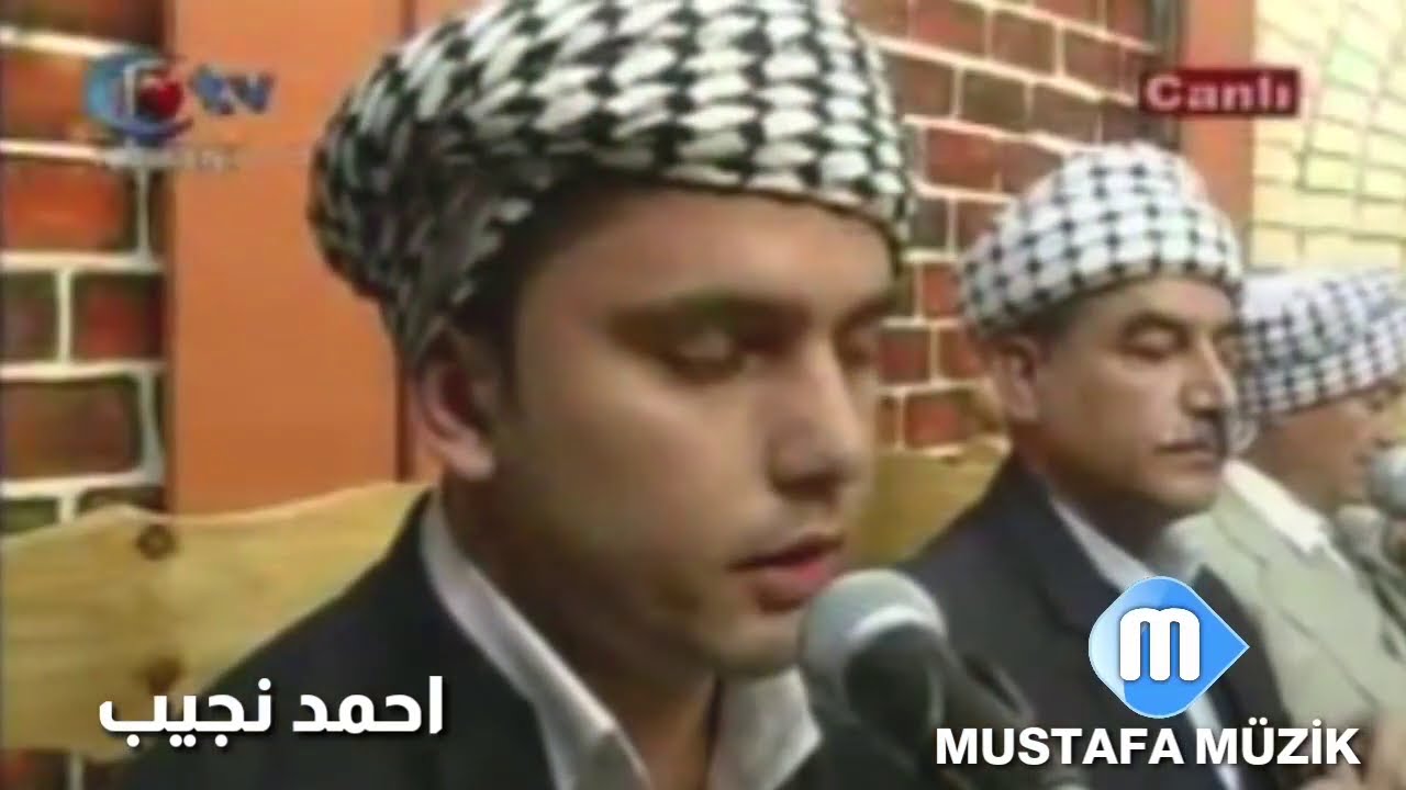 احمد نجيب _ مقام سيكاه الرئيسي 2012