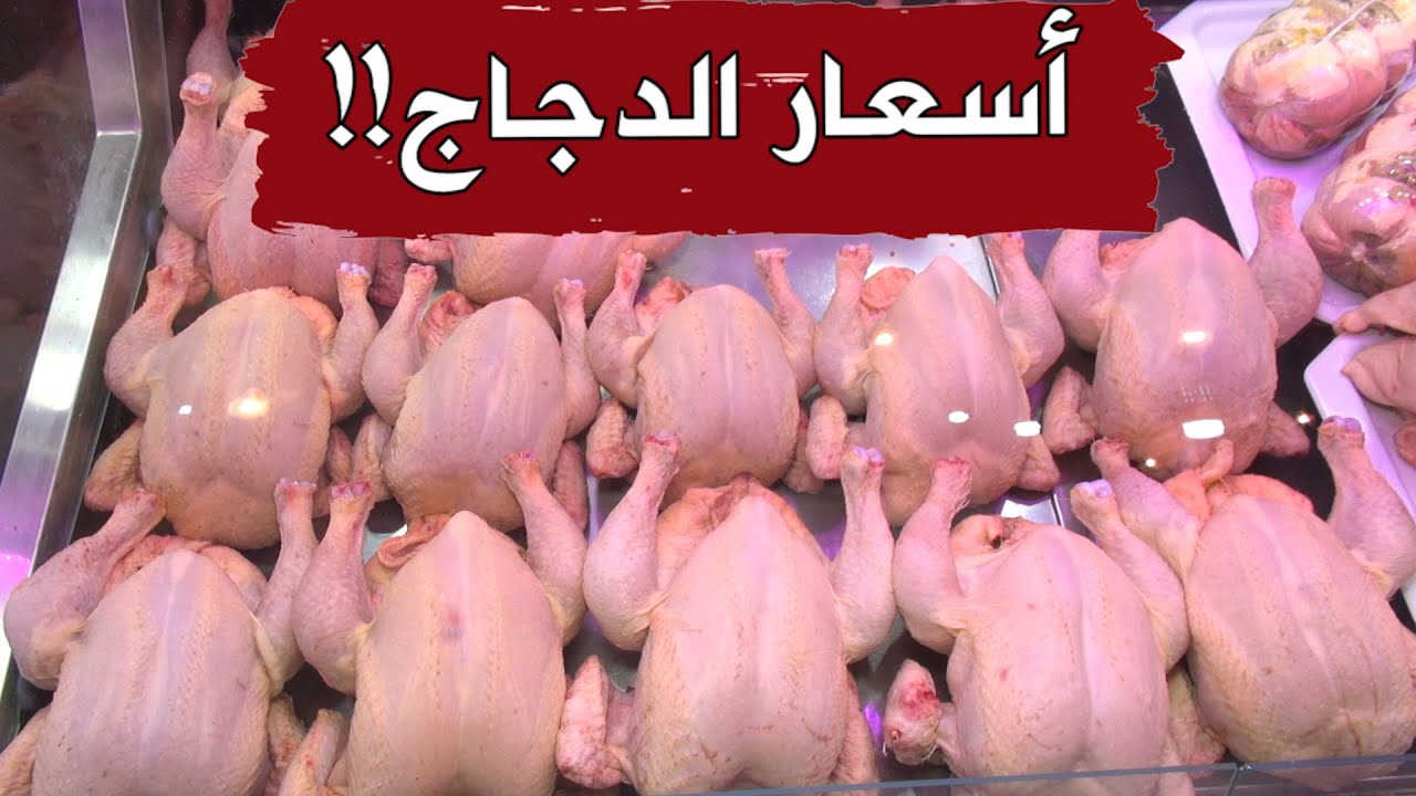 أسعار الدجاج اليوم مباشرة من سوق الحراش بالجزائر العاصمة!!