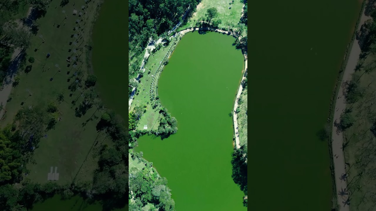 Parque do Carmo: o pulm&atilde;o verde da Zona Leste 🌳 #youtubeshorts #drone #parque #dronevideo #dji