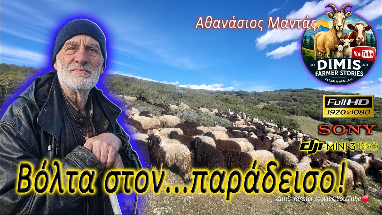 Βόλτα στον... παράδεισο!