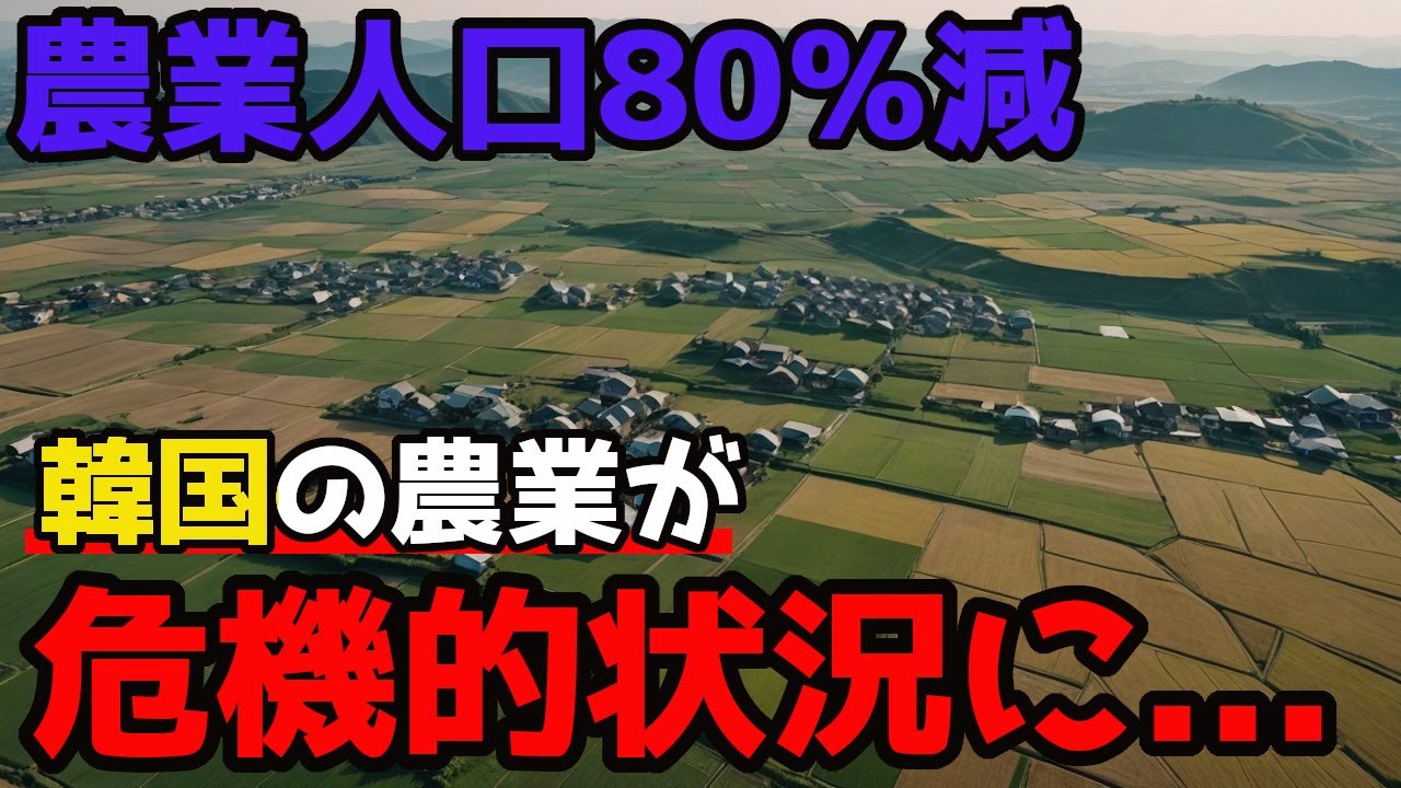 農地が消える国｜韓国が抱える農業の限界