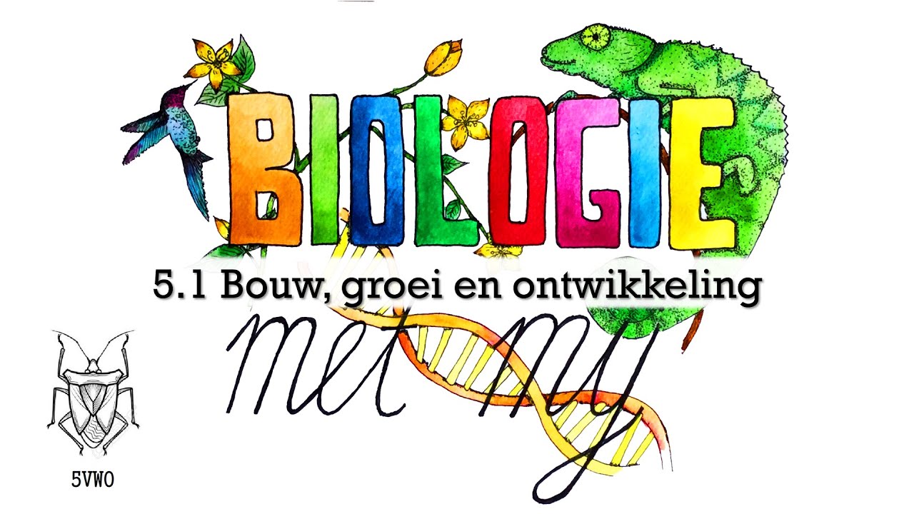 5V - 5.1 Bouw, groei en ontwikkeling