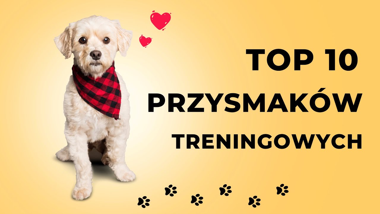Top 10 najlepszych przysmaków treningowych dla psa 🐶 – analiza ofert sklepów zoologicznych