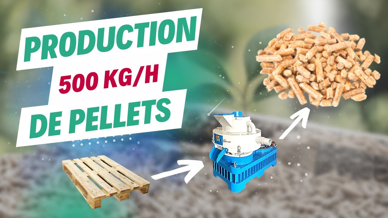 Ligne de production de pellets 500kg/h (avec de la palette recyclée!)