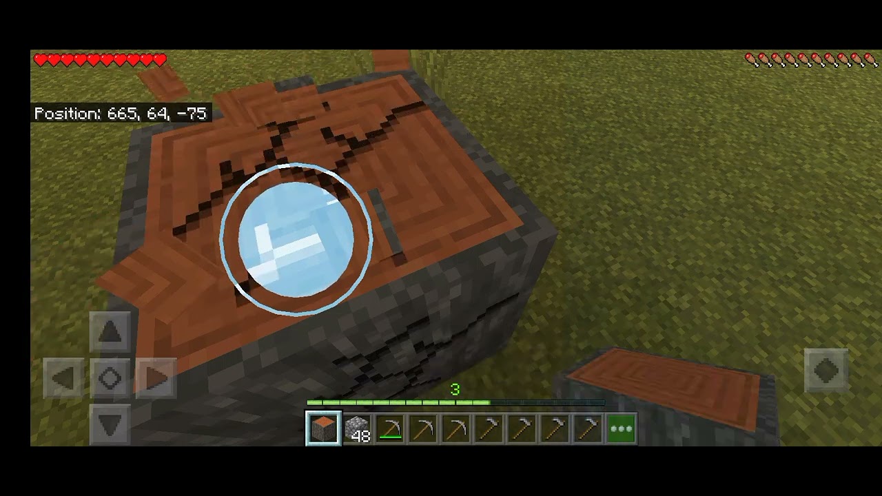 Day 45 Playing Minecraft in Dei