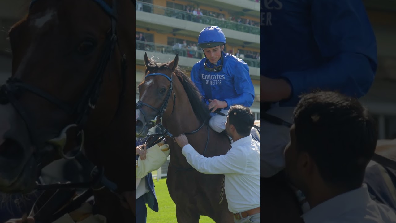 OMBUDSMAN smashes a star field in the Prince Of Wales's Stakes... 💥 