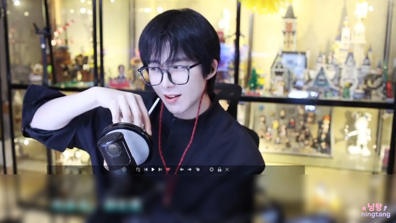 [류우녕]251007 라이브방송_의역오역난무함(재업)