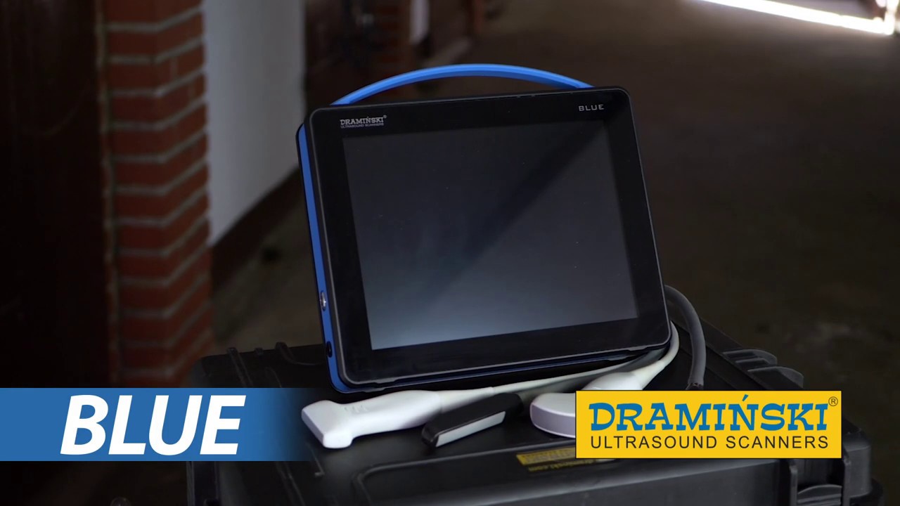 Equine ultrasound imaging. Portable veterinary ultrasound scanner for mares diagnosing. BLUE.