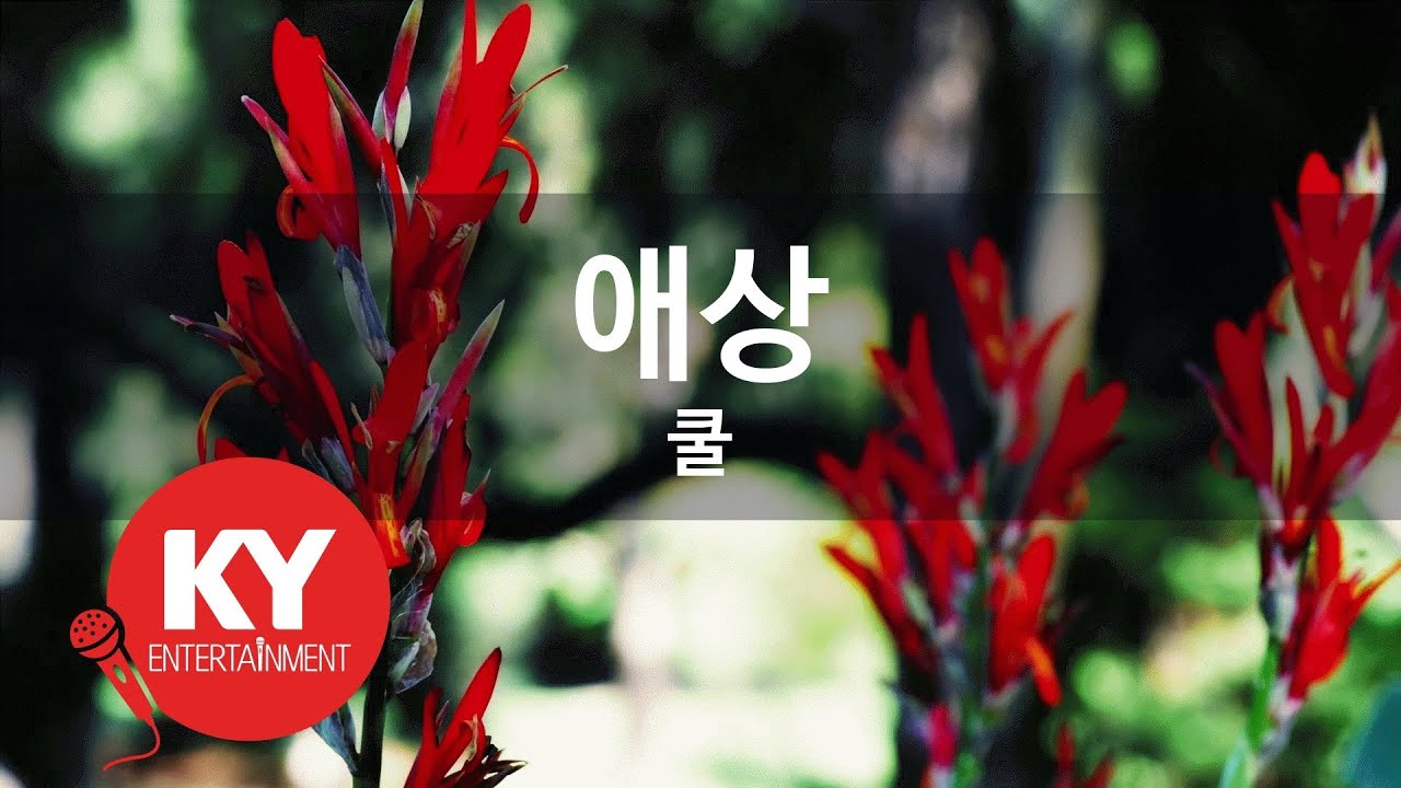 [KY ENTERTAINMENT] 애상 - 쿨 (KY.5422) / KY Karaoke