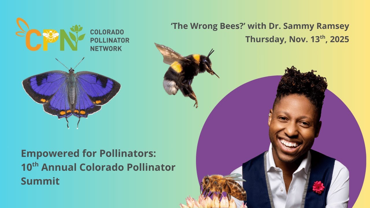 The Wrong Bees? with Dr. Sammy Ramsey
