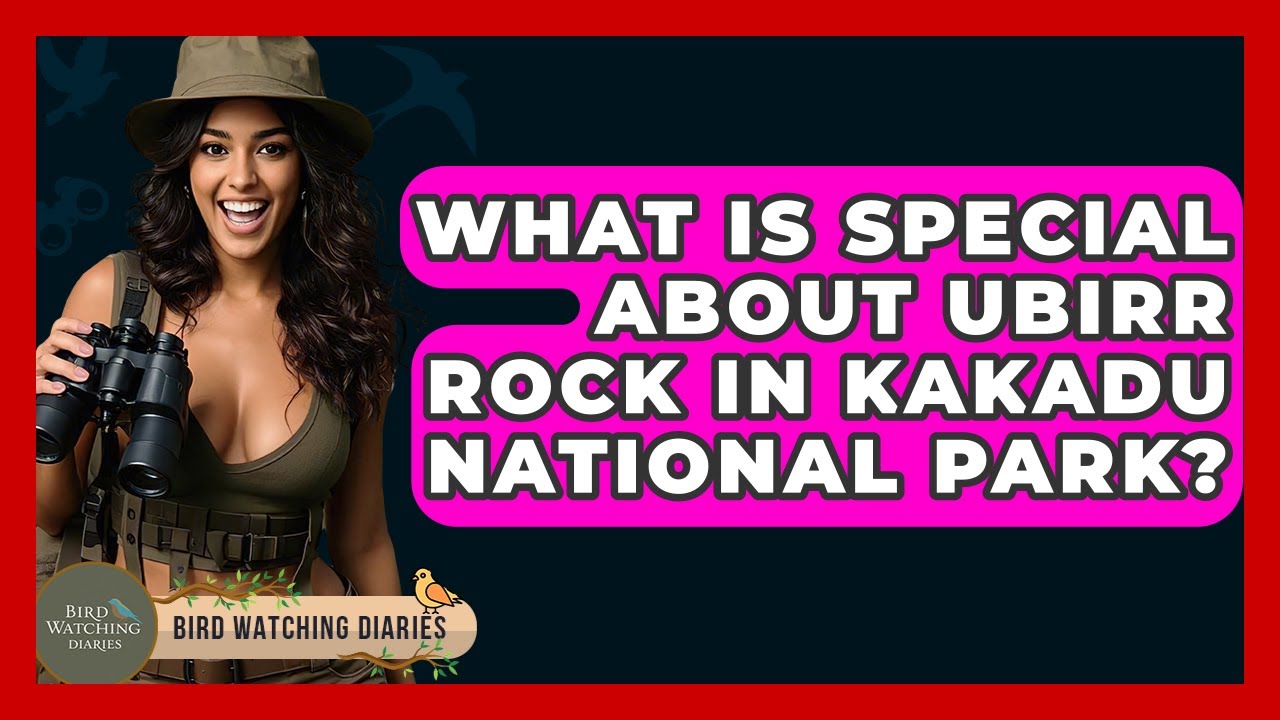 What Is Special About Ubirr Rock In Kakadu National Park? - Bird Watching Diaries