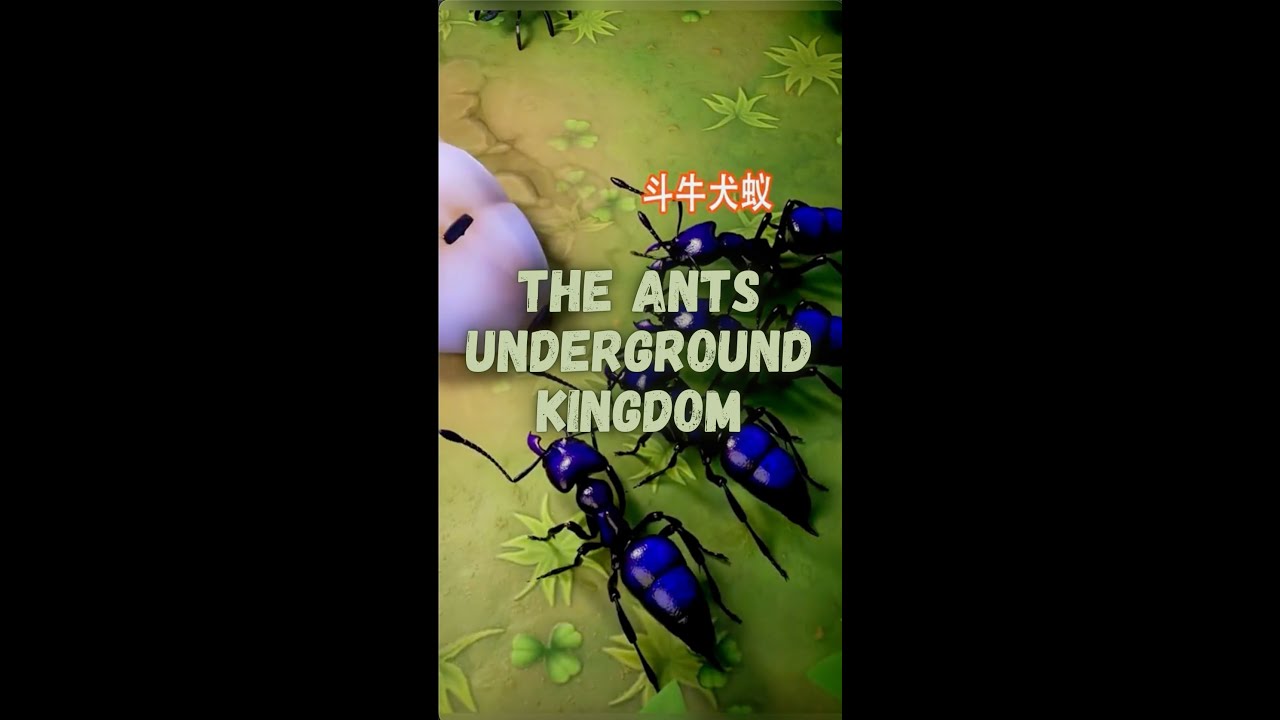 The Ants : Underground Kingdom