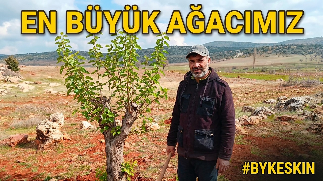 En Büyük Ağacımızı diktik | 4. Bölüm #düdenyaylası #bykeskin
