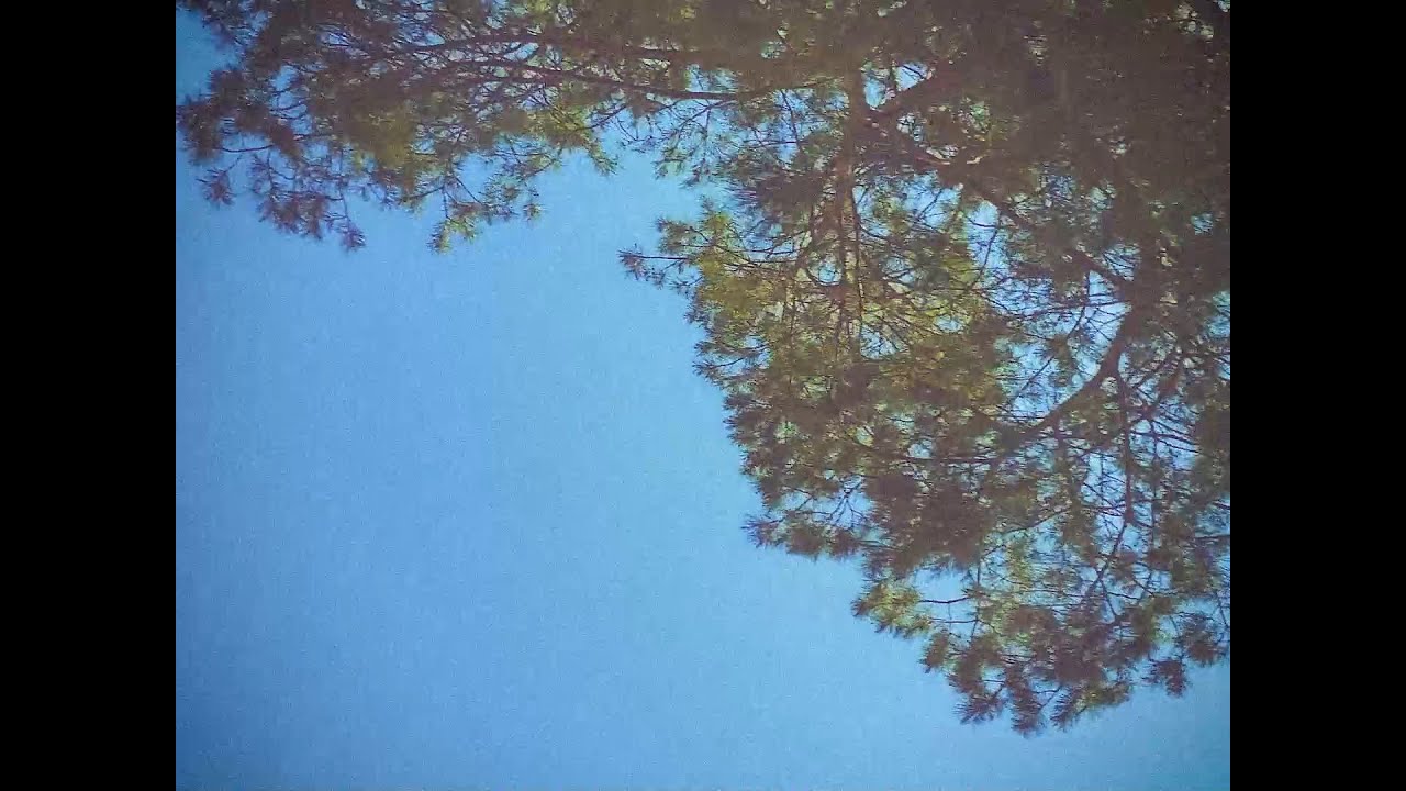 Collin Bartley - Jesus Paid It All