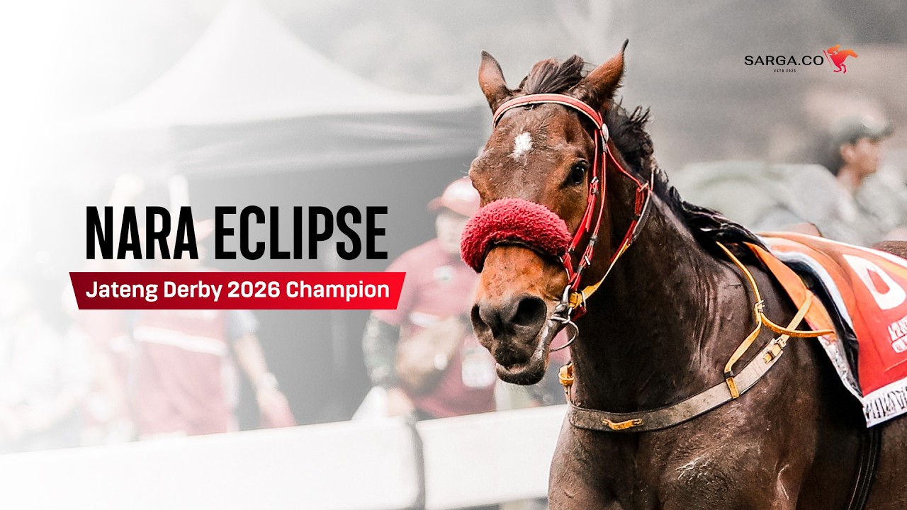 NARA ECLIPSE BIKIN KEJUTAN, KALAHKAN KUDA-KUDA UNGGULAN!