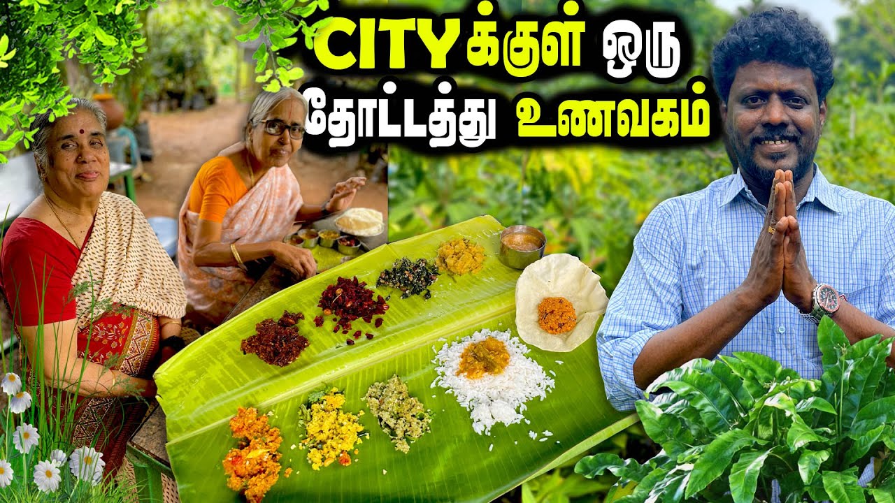 சென்னை cityக்குள் மறைந்திருக்கும் தோட்டத்து உணவகம் | Garden Millet Restaurant | MSF