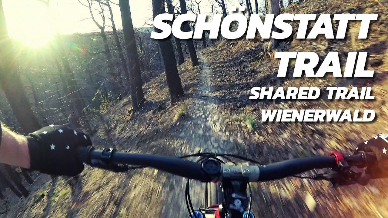 Sch&ouml;nstatt Trail - Shared Trail | Wienerwald Trails (YT Jeffsy)