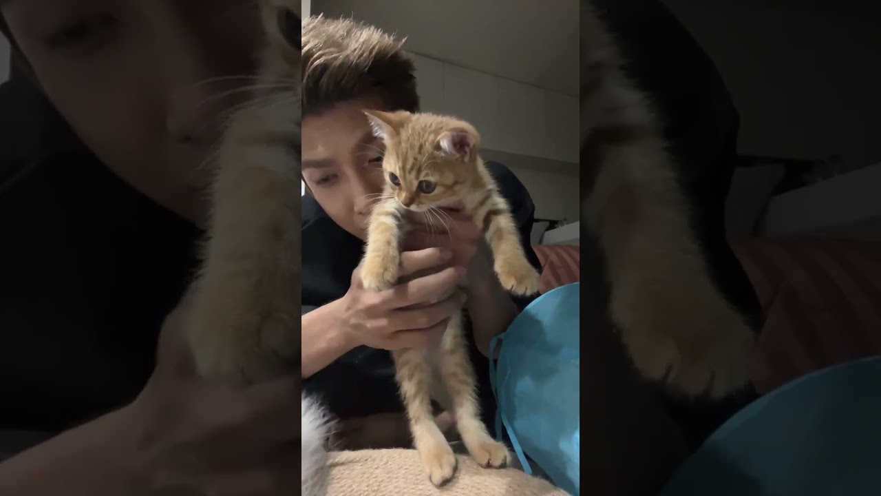 250926 palmww instagram live | palm perses ig live with moji