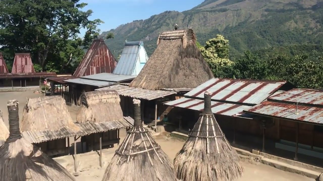 Kampung Wajo Jerebuu