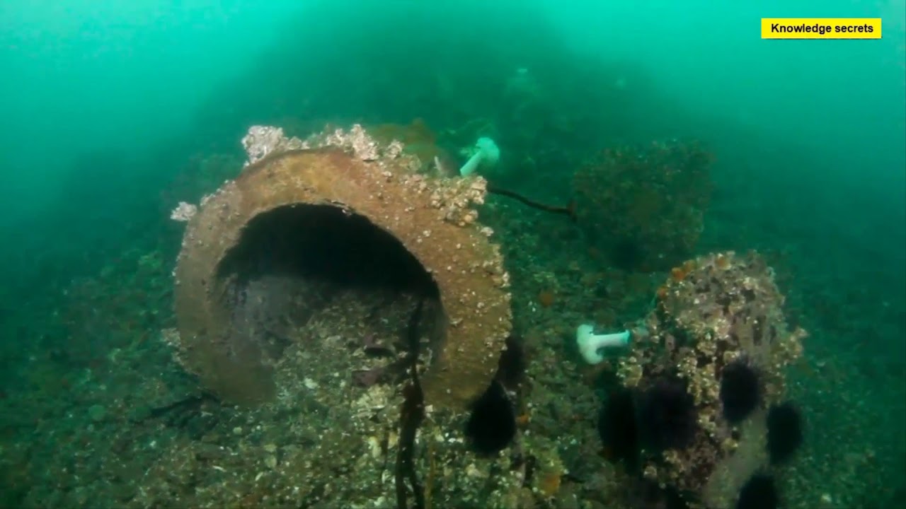 Diving in Enterprise Channel Victoria || Vancouver Island 2018