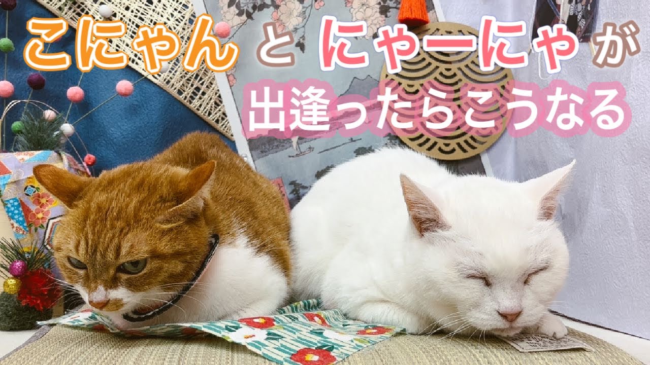 目標達成ありがとうございました！これからもがんばります。