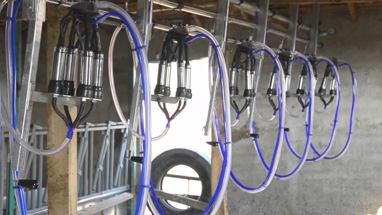 G&uuml;ğ&uuml;mden G&uuml;ğ&uuml;me Kızaklı Sağım Sistemi - MELASTY&reg;