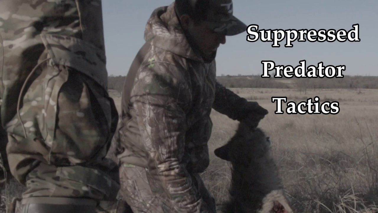 Suppressed Predator Tactics: Triple Tap