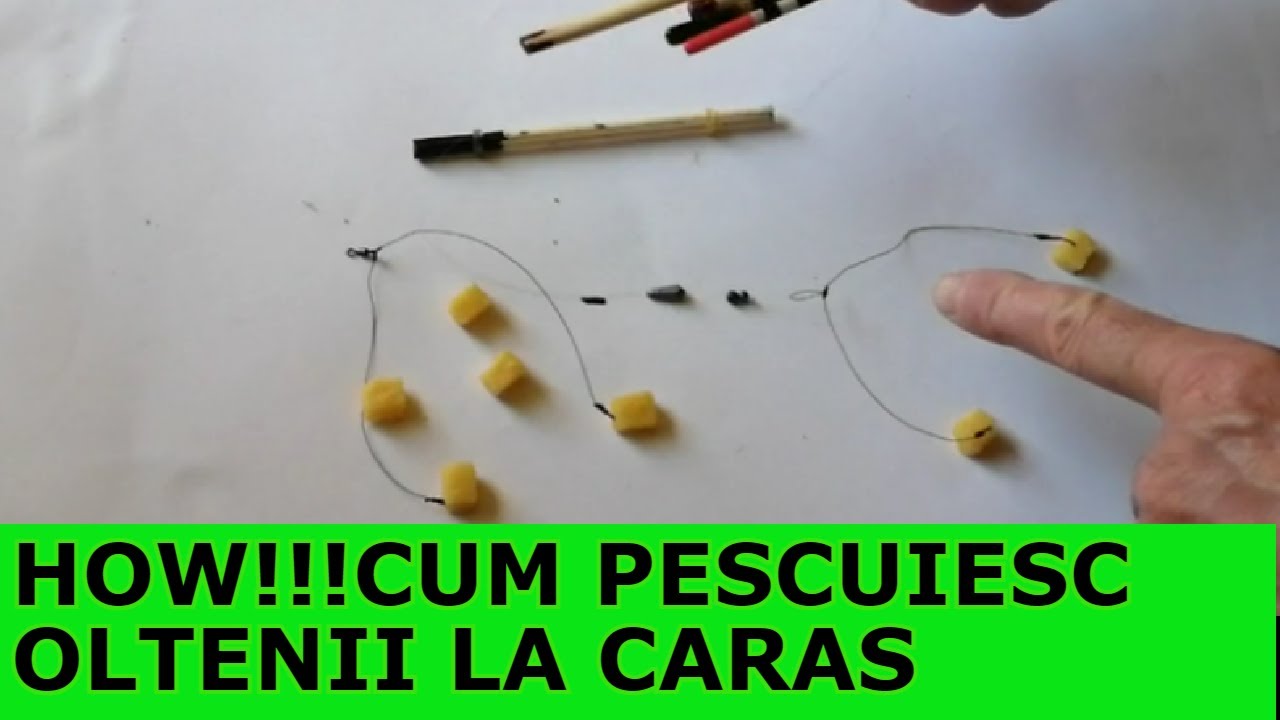 MONTURA DE CARAS OLTENESCĂ-MONTURA CU 2 CÂRLIGE