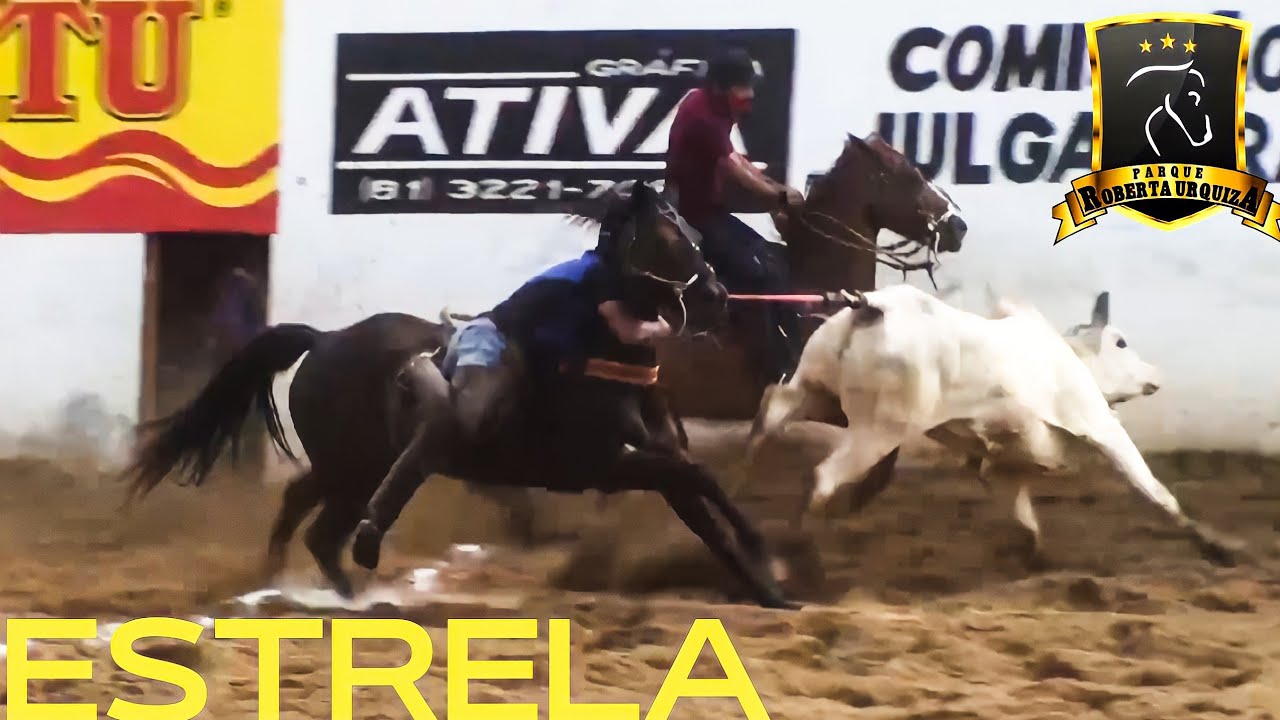 PQ Roberta Urquiza   Estrela   2021