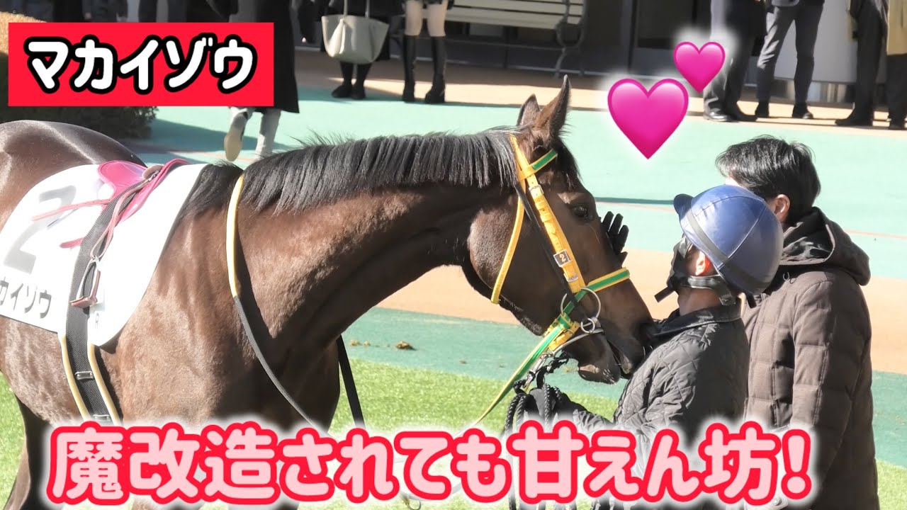 体は魔改造されても心は甘えん坊さんのままなマカイゾウちゃん