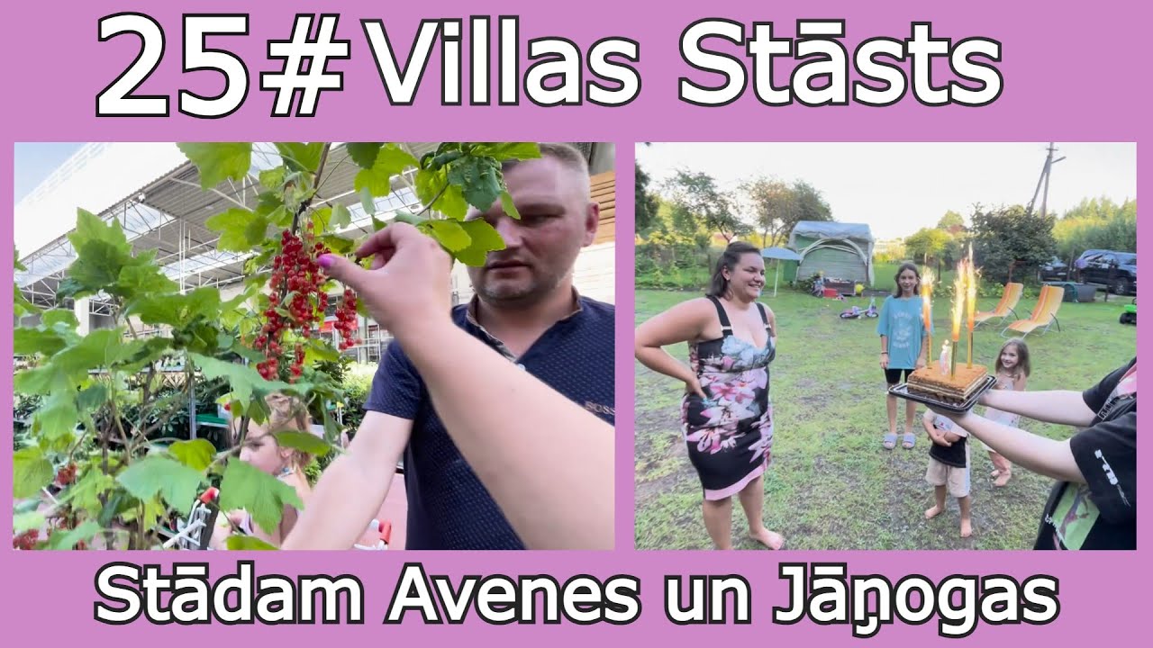 25# Stādam Jāņogas un Avenes + Diānas Dzimšanas Dienas Dāvana | Villas Stāsts